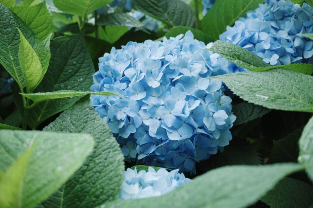  7Artisans AF 27mm f/2,8 för Nikon Z (APS-C)