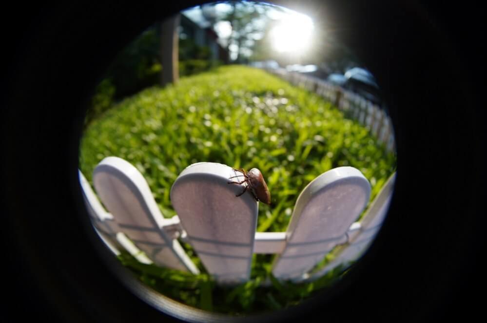  TTArtisan 7,5mm f/2.0 Fisheye för Canon RF