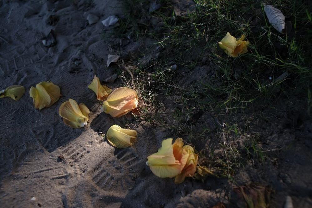  7Artisans 24mm f/1,4 objektiivi Canon M -kameralle(APS-C)