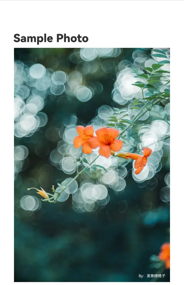  TTArtisan 100mm f/2,8 Soap Bubble Bokeh -objektiivi Leica M -kameroille