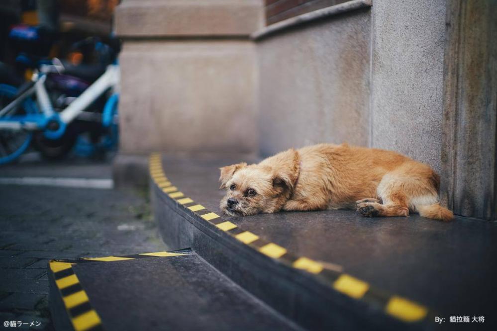  TTArtisan 50mm f/0,95 objektiivi Leica M -kameroille