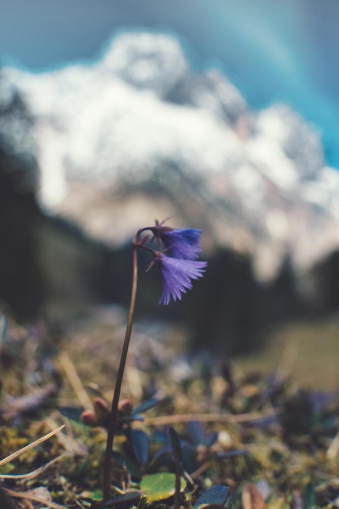  7Artisans 25mm f/1,8 II för Micro 4/3