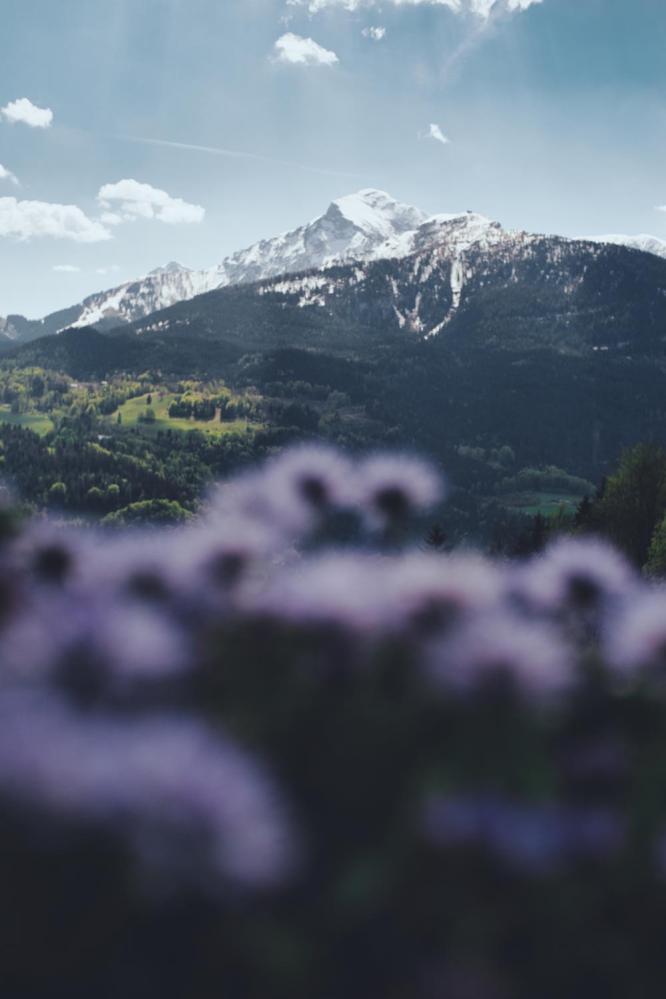  7Artisans 25mm f/1,8 II för Micro 4/3