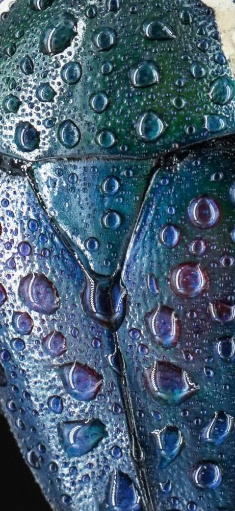  7Artisans 60mm f/2,8 Mark II Makro för Leica L (APS-C)