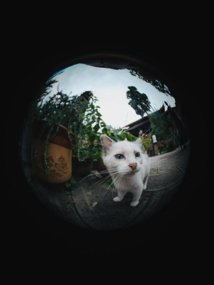  7Artisans 4mm f/2,8 Fisheye för Micro 4/3