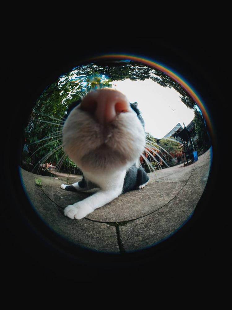  7Artisans 4mm f/2,8 Fisheye för Micro 4/3