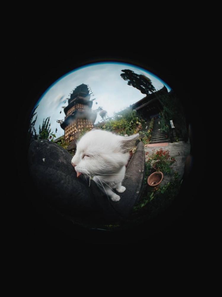  7Artisans 4mm f/2,8 Fisheye för Micro 4/3