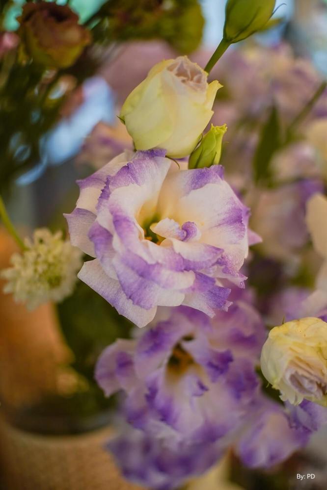  TTArtisan 25mm f/2,0 för Micro 4/3