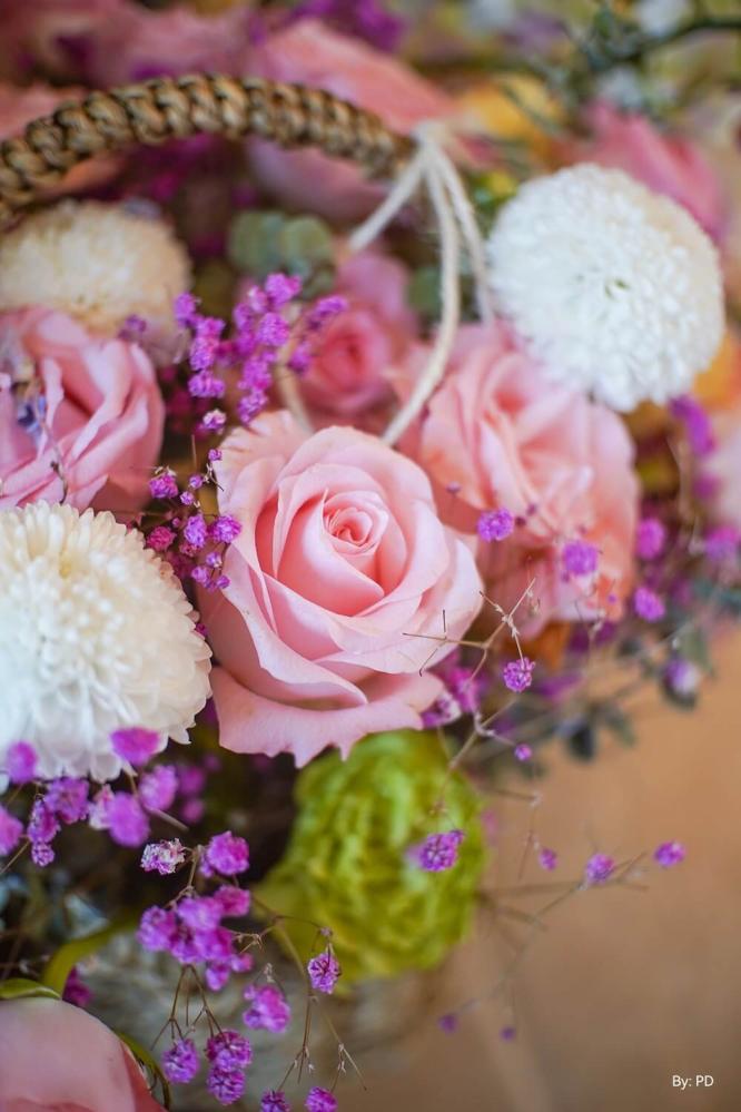  TTArtisan 25mm f/2,0 för Micro 4/3