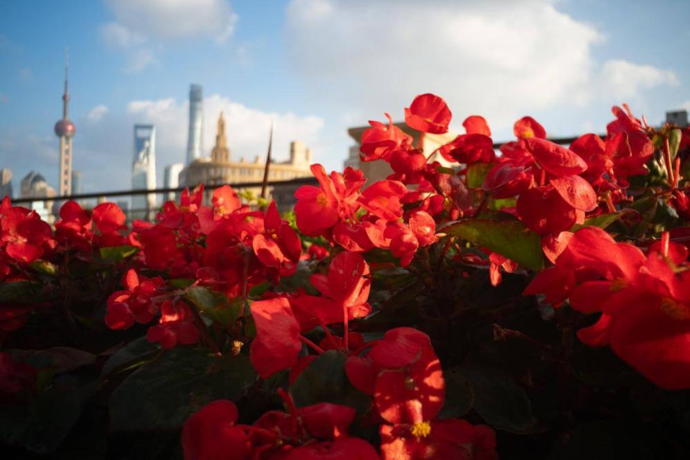  7Artisans 18mm f/6,3 Mark II UFO för Micro 4/3