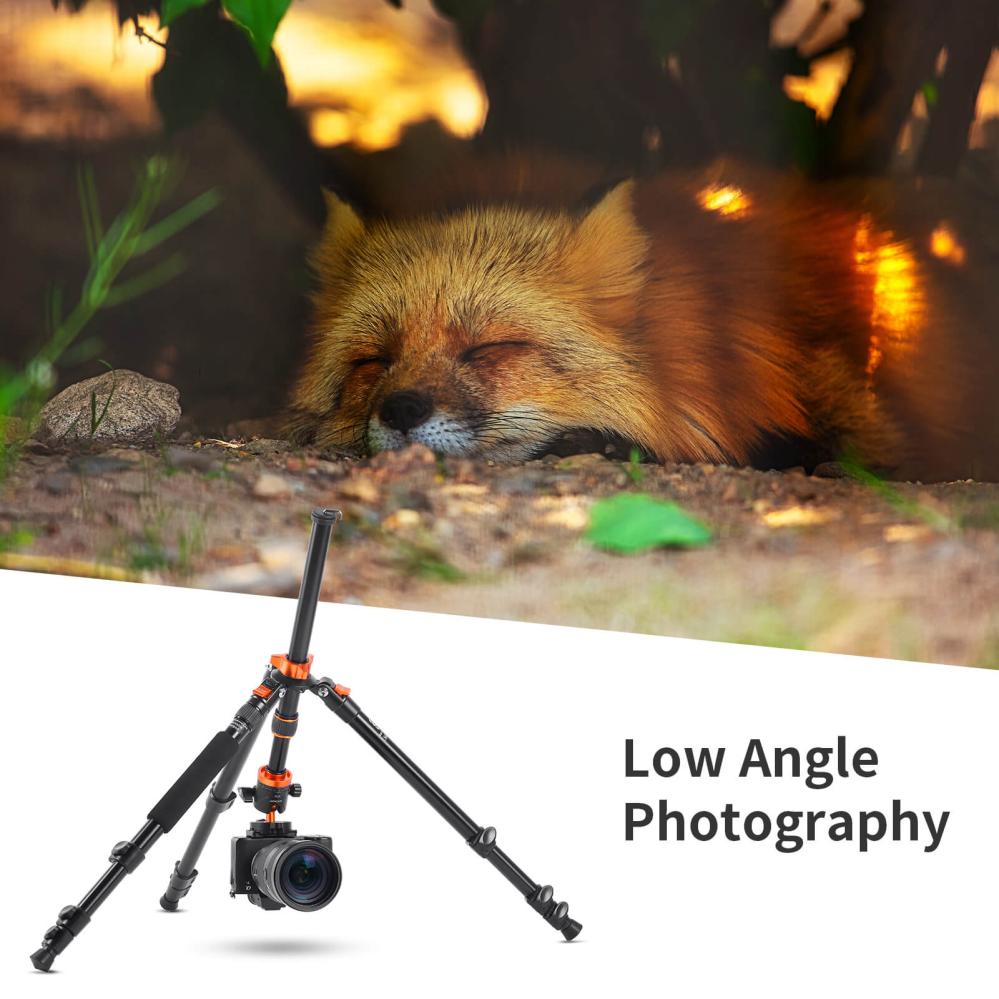  K&F Concept Kamerastativ med Panorama kulled 175cm KF09.089V1