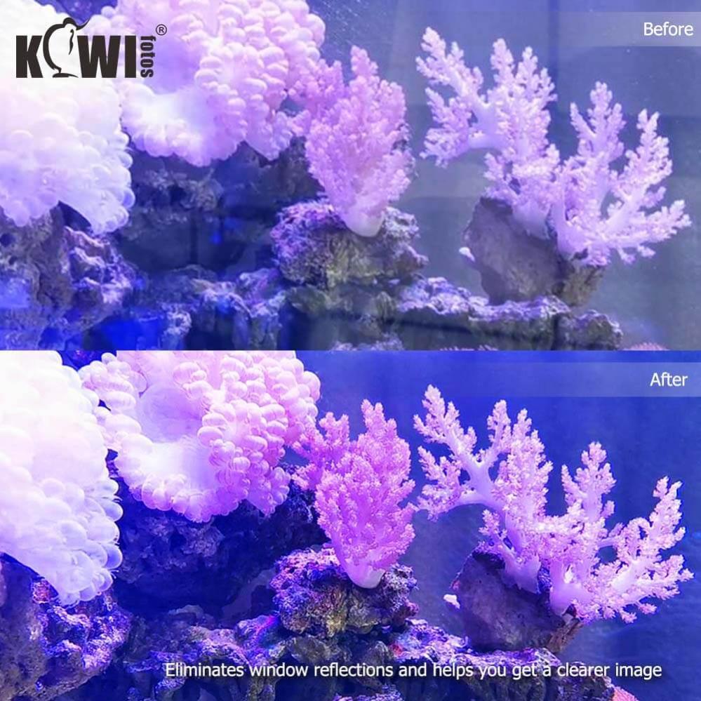  Kiwifotos Mobilhållare med motljusskydd för kamerastativ