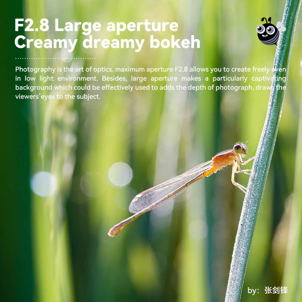  TTArtisan 40mm f/2,8 Makro för Sony E (APS-C)