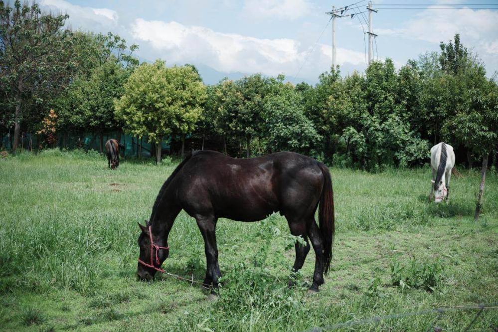  7Artisans AF 27mm f/2,8 Fujifilm X -kameralle (APS-C)