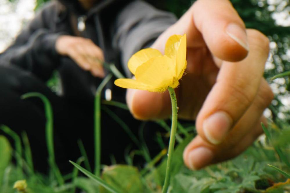  AstrHori 28mm f/13 Macro Probe 360° Leica L -täyskennoille