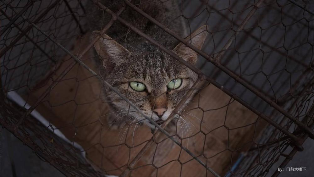  TTArtisan AF 27mm f/2,8 för Sony E (APS-C)