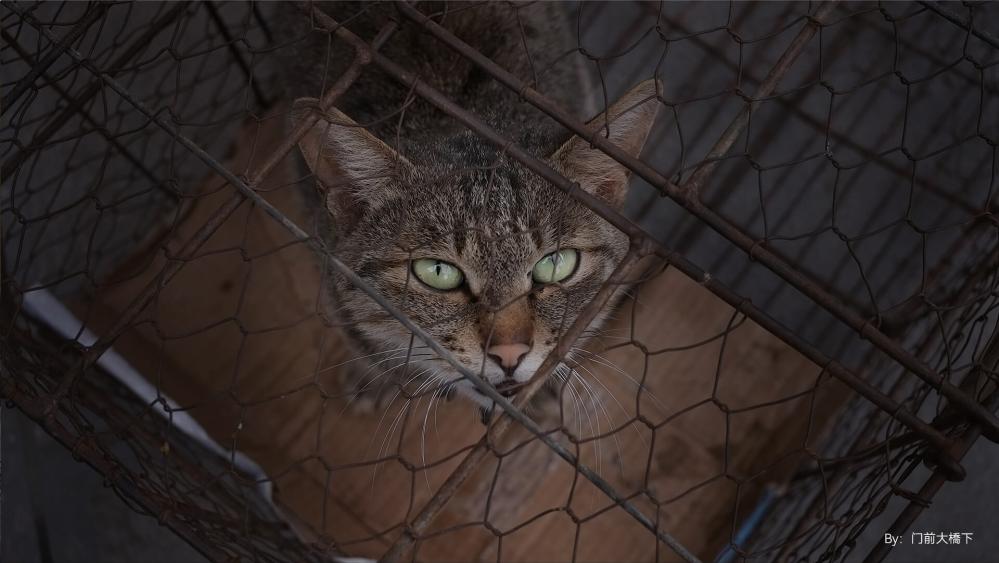  TTArtisan AF 27mm f/2,8 för Sony E (APS-C)