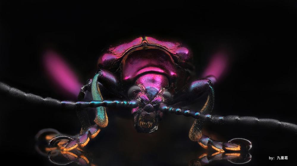  TTArtisan 40mm f/2,8 Makro för Sony E (APS-C)