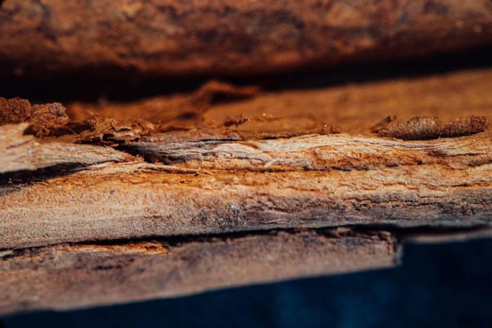  7Artisans 60mm f/2.8 Makro 2x Canon RF -kameroille (Täyskenno)