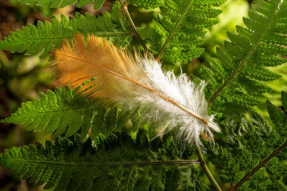  7Artisans 60mm f/2.8 Makro 2x Canon RF -kameroille (Täyskenno)