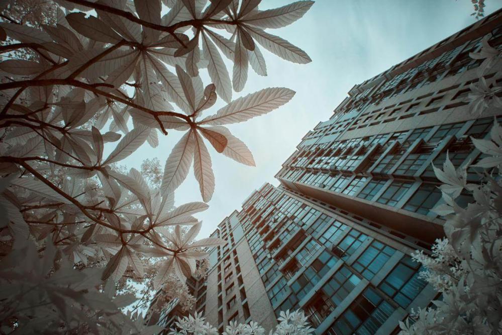  Haida 62 mm NanoPro IR-suodin 720 nm