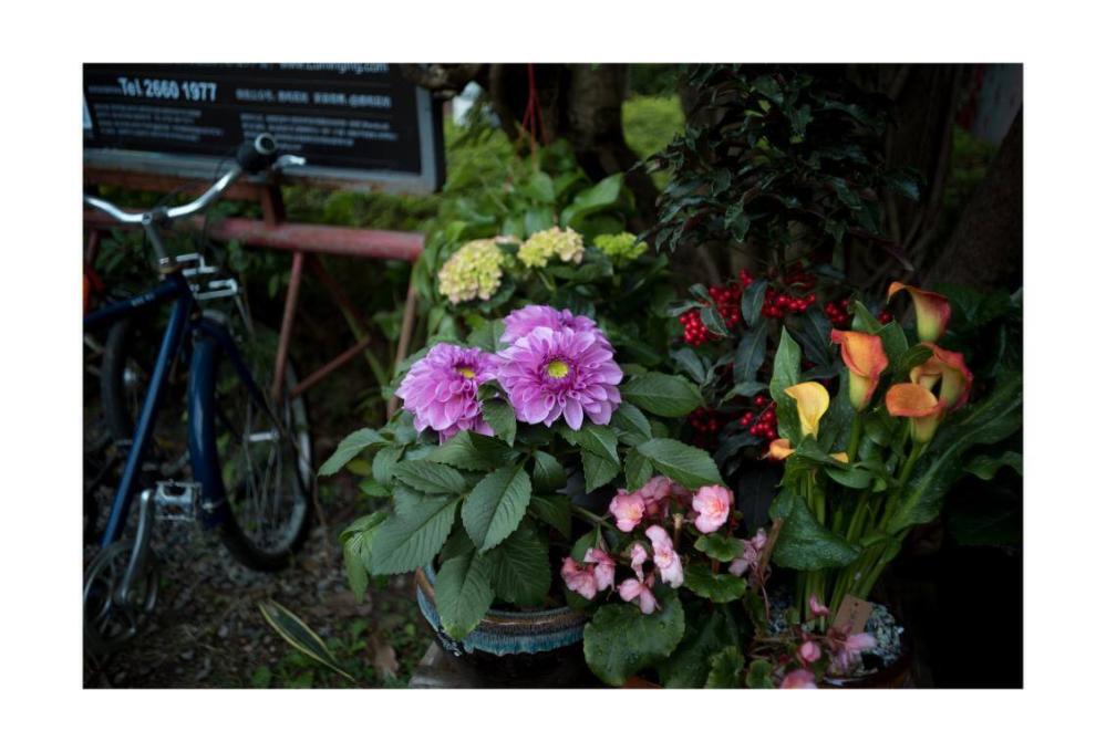  7Artisans M35mm f/2,0 II Leica M -objektiivi