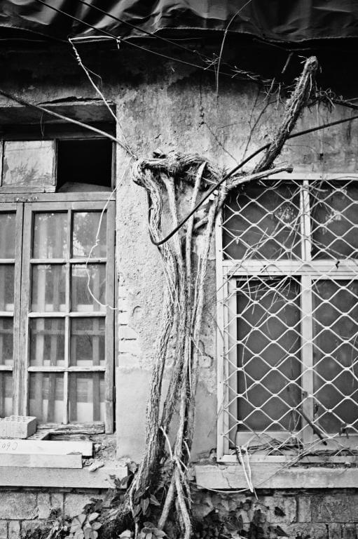  7Artisans 18mm f/6,3 Mark II UFO för Micro 4/3