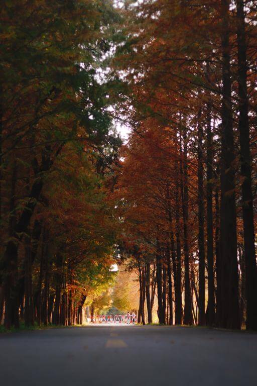  7Artisans 18mm f/6,3 Mark II UFO för Micro 4/3