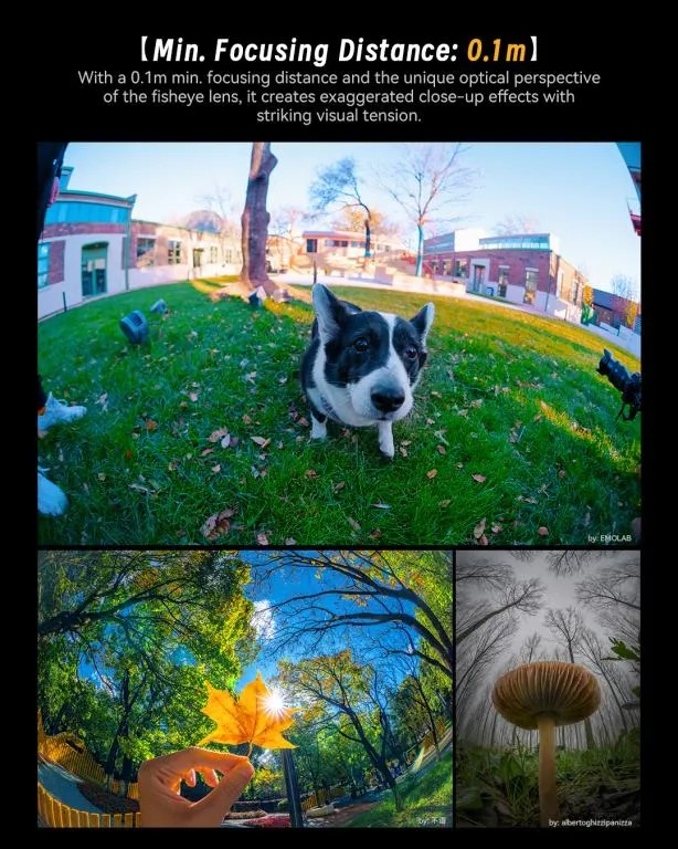  7Artisans 6mm f/2.0 Fisheye för Micro 4/3