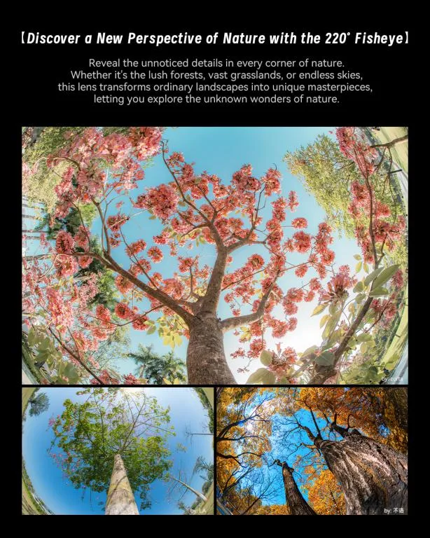  7Artisans 6mm f/2.0 Fisheye för Micro 4/3