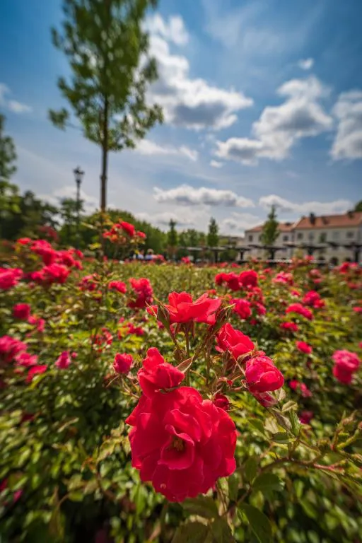  7Artisans 10mm f/3,5 för Micro 4/3