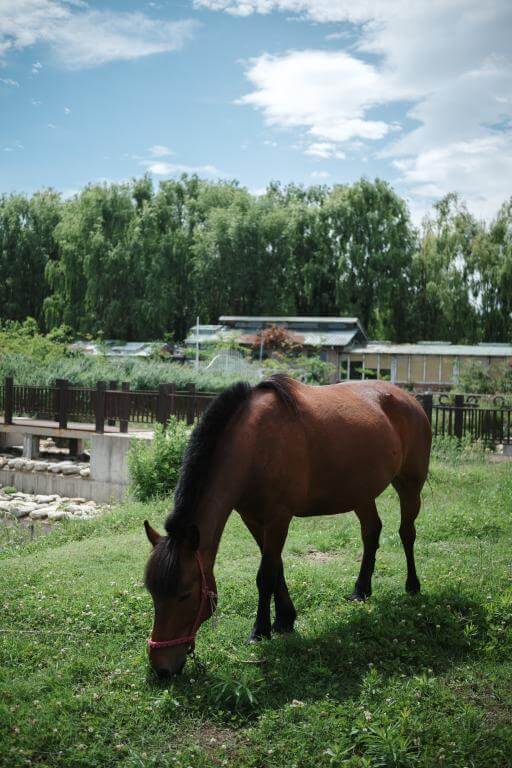  7Artisans AF 27mm f/2,8 för Nikon Z (APS-C)