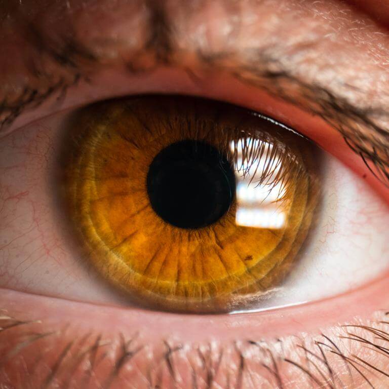  AstrHori 28mm f/13 Macro Probe Nikon F -kameroille (täyskenno)