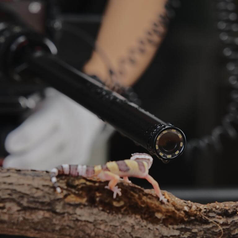  AstrHori 28mm f/13 Macro Probe Nikon F -kameroille (täyskenno)