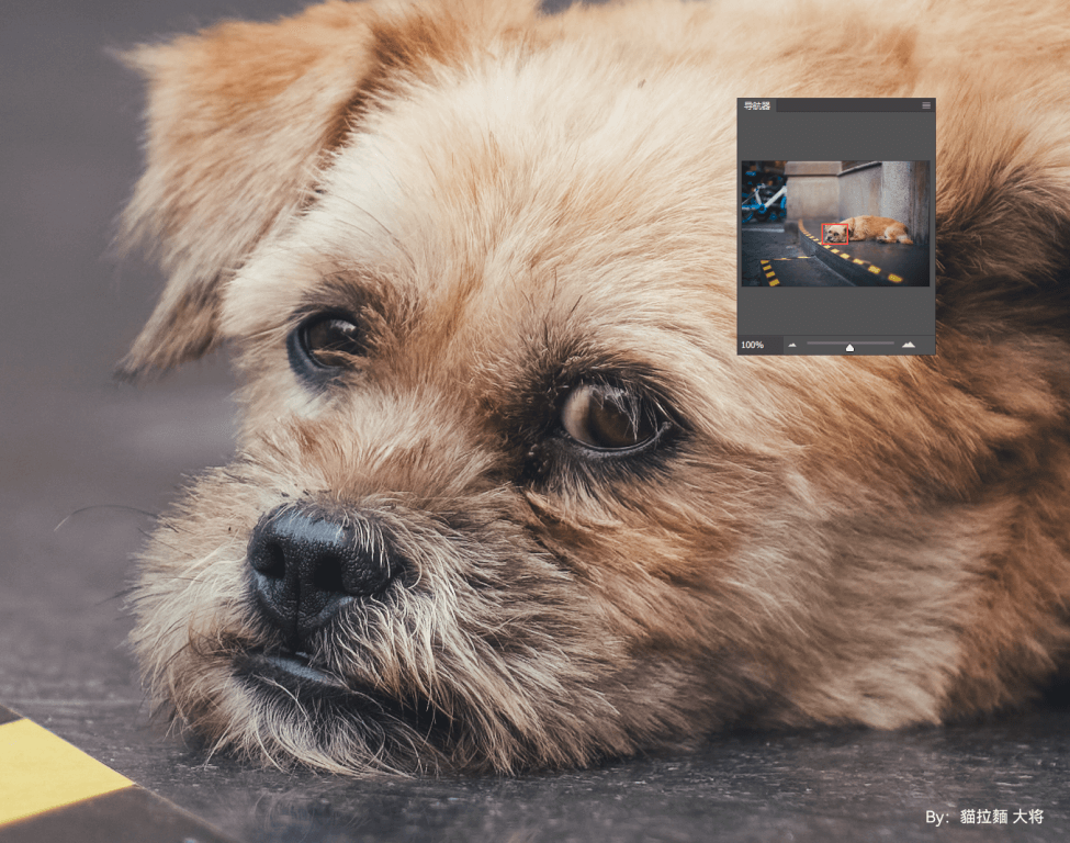  TTArtisan 50mm f/0,95 objektiivi Leica M -kameroille