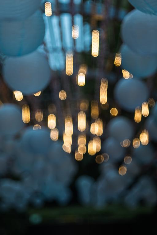  TTArtisan 100mm f/2.8 Soap Bubble Bokeh för M42