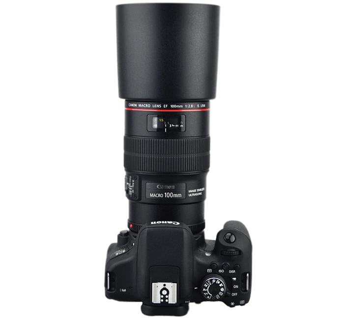  JJC Motljusskydd för Canon EF 100mm f/2.8L Macro IS USM motsvarar ET-73