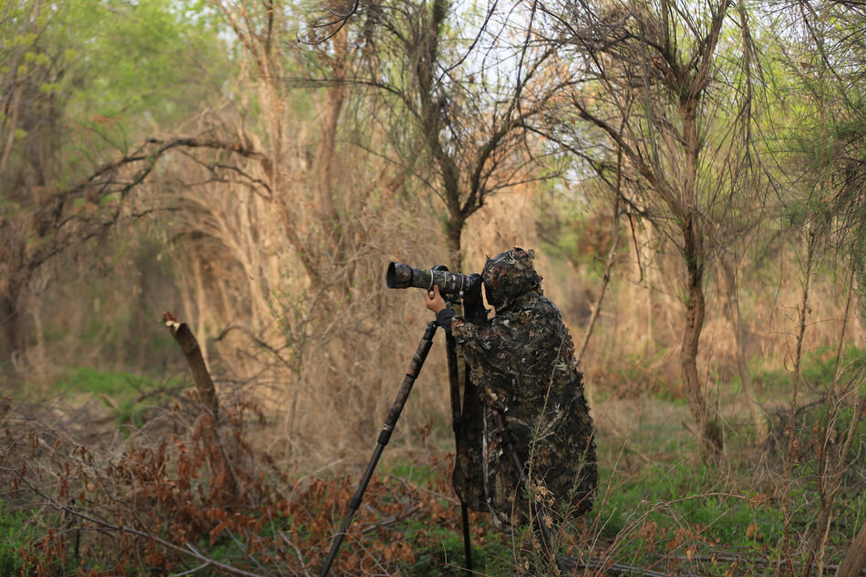  Rolanpro Kamouflagefärgad poncho 3D-modell med lönnlöv för naturfotografen